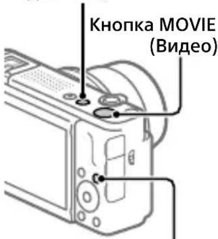 Кнопка MOVIE (Видео)