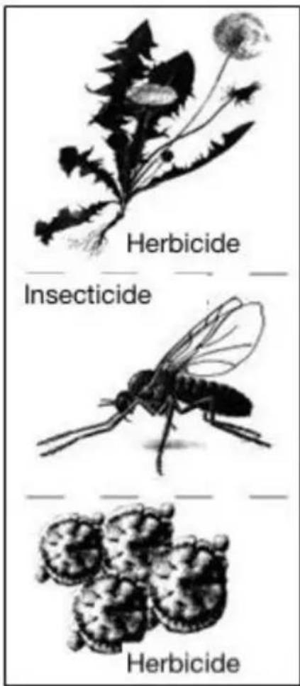 Herbicide Insecticide Herbicide