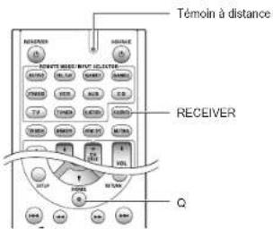 Témoin à distance RECEIVER Q