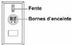 Fente Bornes d'enceinte