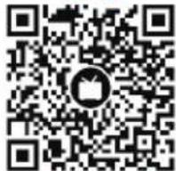 icon V1-X - 修理にて - 4