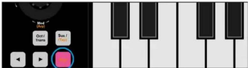 icon iKeyboard 3 Mini - Bouton Arp (arpégiateur) - 1