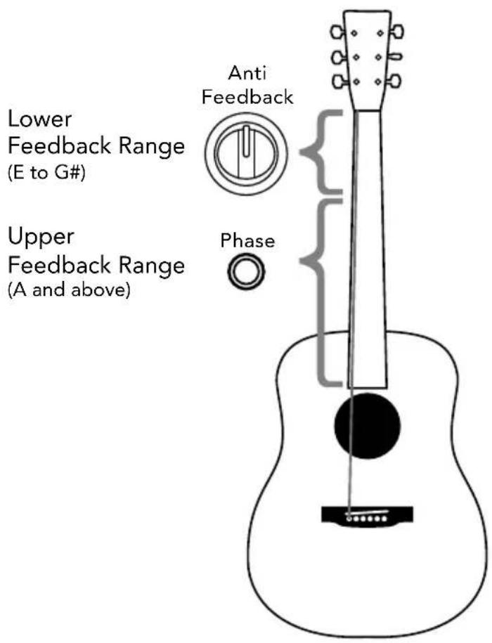 Fishman Loudbox Artist - High volume - 2