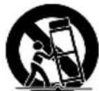 Fishman Loudbox Performer - Important Safety Instructions - 1