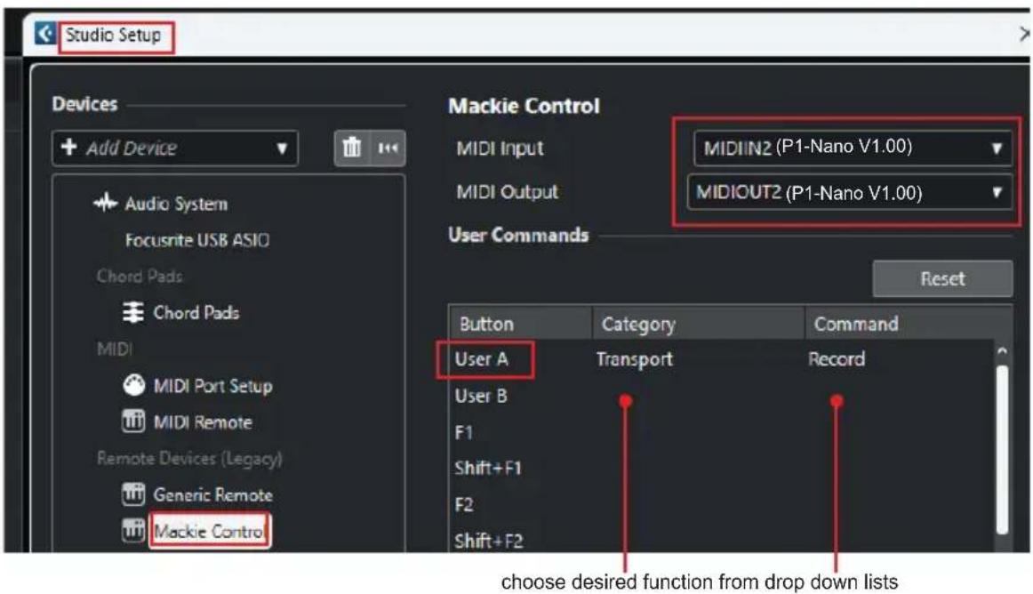 icon P1-Nano - Étape3: Cliquez sur le bouton « Start ». - 3