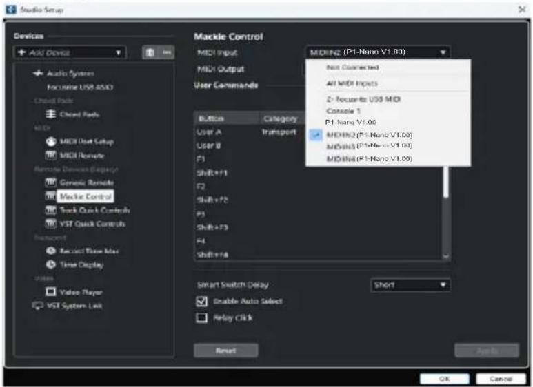 icon P1-Nano - Configuration du P1-Nano dans les DAW - 2