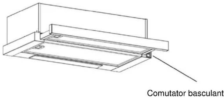 Comutator basculant