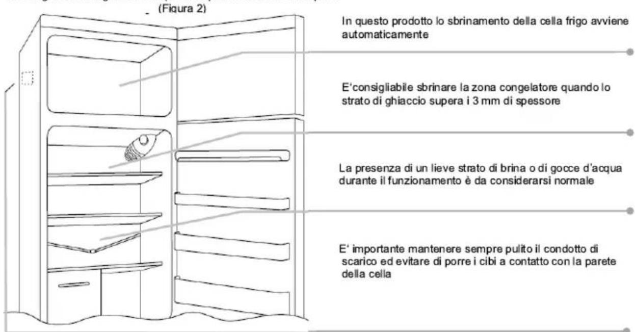 CANDY CDH1S513EW - LO SBRINAMENTO e CONGELAZIONE - 1