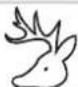 CANDY CML12EI - Zona congelatore - 6