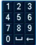 Lorex N841 - Pourutiliserleclaviernumérique: - 1
