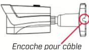 Lorex LBV8721AB - Avant d'installer la caméra - 1