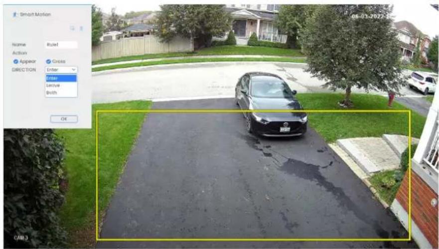Smart Motion Name Rulef Action Appear Gross DIRECTION Enter Enter Leave Both OK CAM 3 05-01-2022