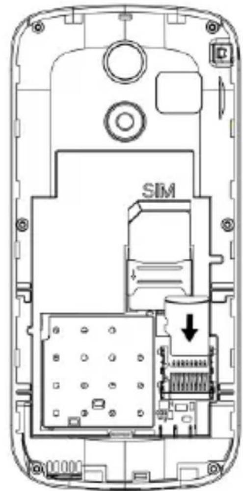 Bea-fon SL320 - Insertion de la carte SIM et de la carte mémoire micro-SD - 3