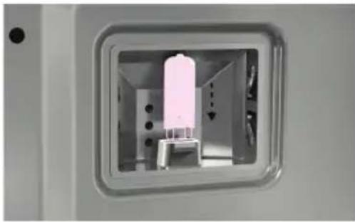 Fisher & Paykel OB24SD16PLX1 - Remplacement des lampes de four - 4