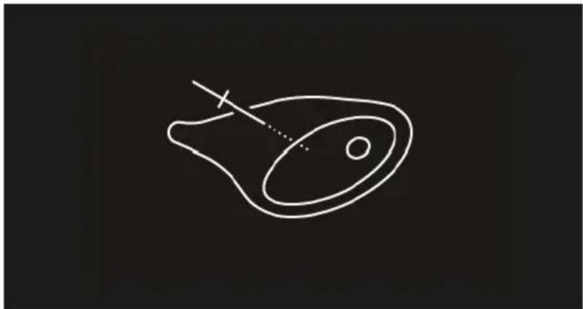 Fisher & Paykel OS24NMTNB1 - Cuisson différée - 3