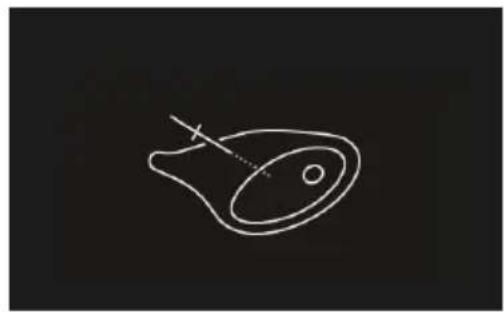 Fisher & Paykel OM30NDTDX1 - Préchauffer - 3