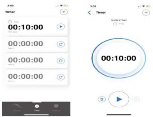 Napoleon ACCU-PROBE 2.0 70077 - Timer Alarms - 2