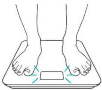 Etekcity FIT 8S - Weighing Without the VeSync App - 2