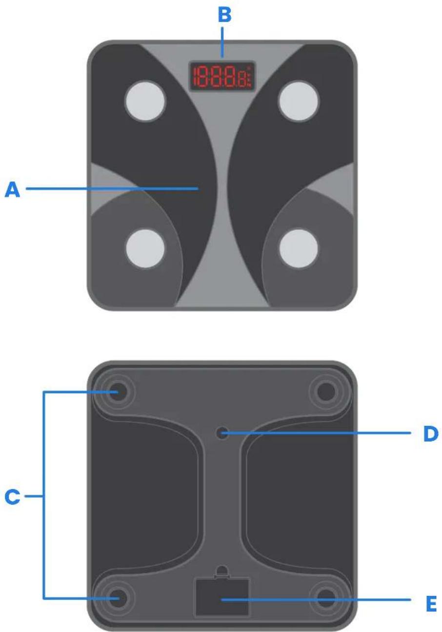 Etekcity FIT 8S - Function Diagram - 1