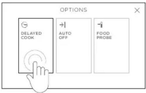 OPTIONS DELAYED COOK AUTO OFF FOOD PROBE