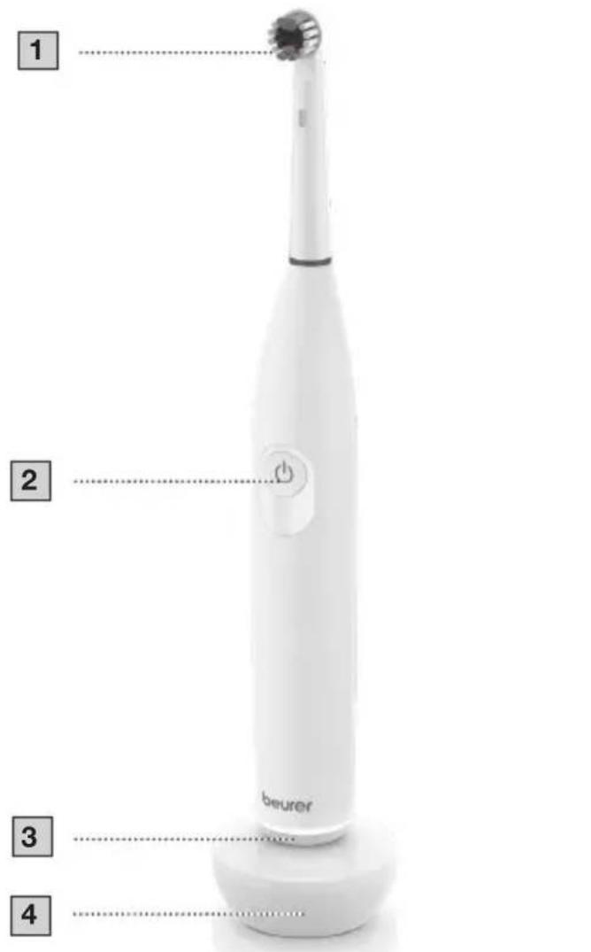 BEURER TB 30 - 1