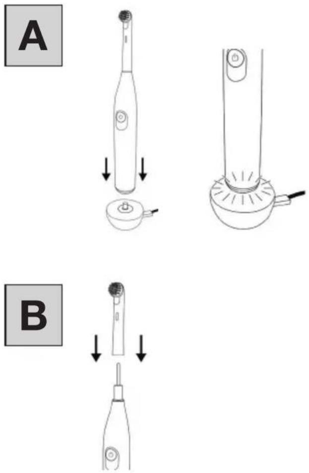 A B