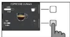 GAGGIA Magenta Plus RI8700 - Ciclo di risciacquo manuale - 2