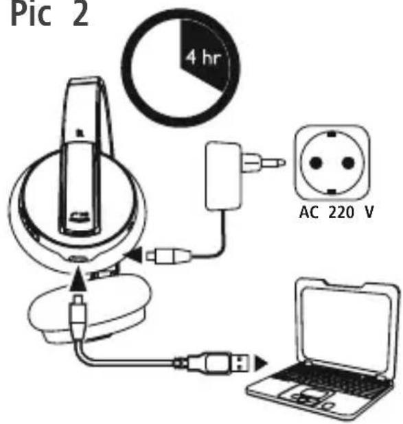 Pic 2 4 hr AC 220 V