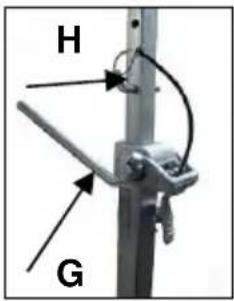 H G