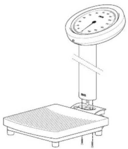 SECA 786 - Auspacken - 2