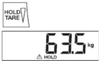 SECA 769 - Memorizar o peso (HOLD) - 4