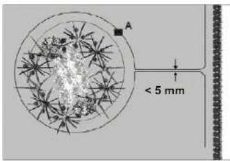 Yard Force SA900B - Blumenbeete - 2