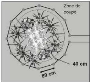 Yard Force SA900B - Fixer le câble périphérique au sol - 1
