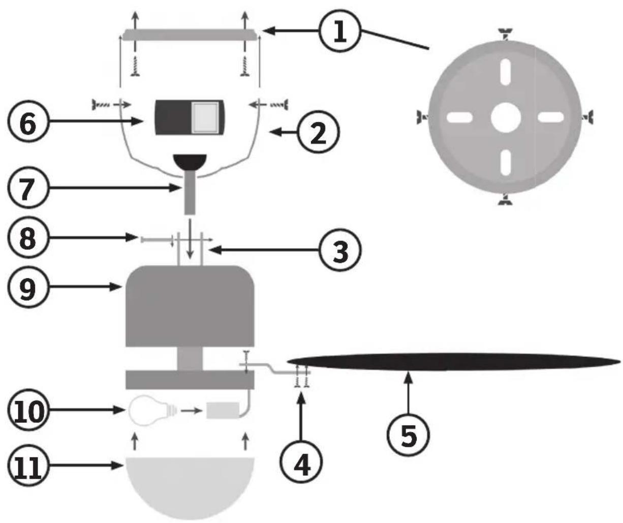 Sonnenkönig Genua - Componenti - 1