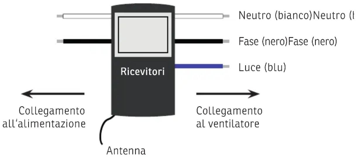 Sonnenkönig Catania - Schema dei collegamenti - 1