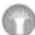 Sonnenkönig Jova - Led-regeling - 1