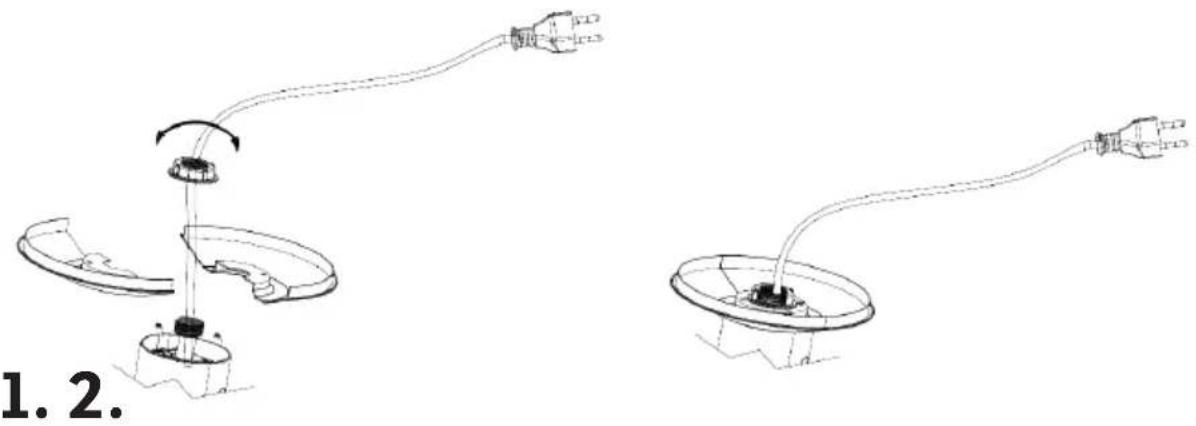 Sonnenkönig Pisa - IT - 1