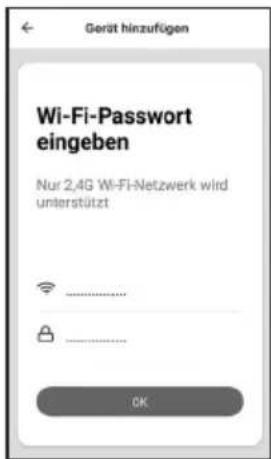 Sonnenkönig Wengen - Filter / WIFI-Reset - 8