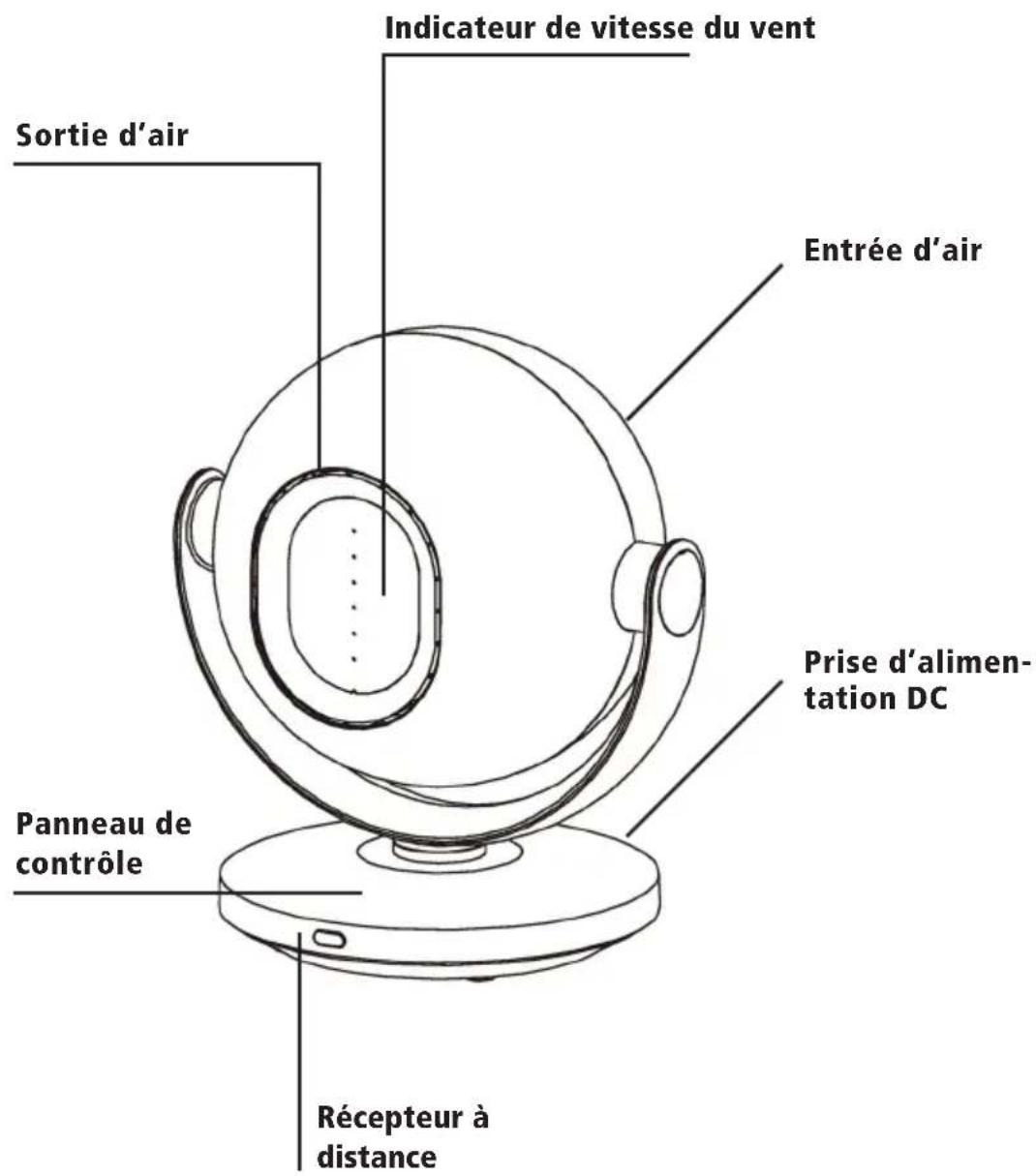 Sonnenkönig Viento - FR - 1