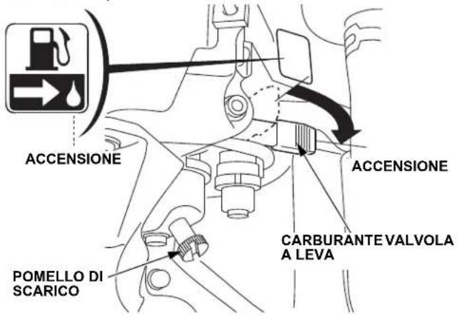Honda HSS 760A T - Avviamento Elettrico DC (ETD, EWD) - 2