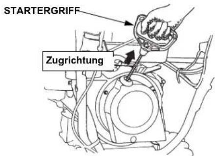Honda HSS 760A T - Startergriff - 1