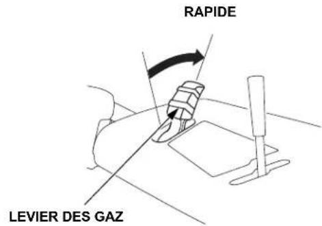 RAPIDE LEVIER DES GAZ