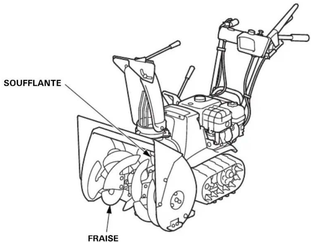 SOUFFLANTE FRAISE