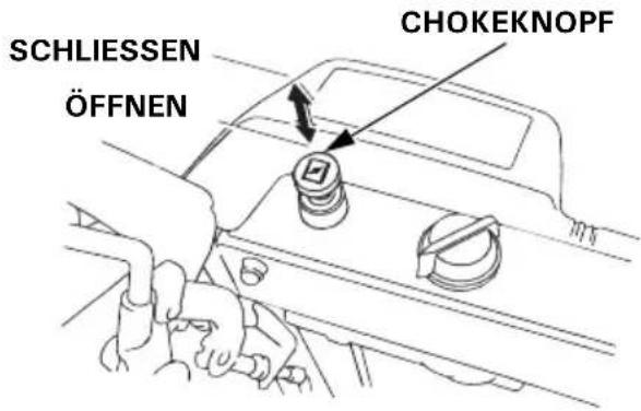 Honda HSS 655 TD - Chokeknopf - 2