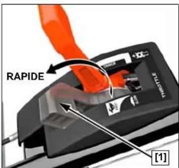 RAPIDE [1]