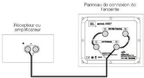 Récepteur ou amplificateur Panneau de connexion de l'enceinte