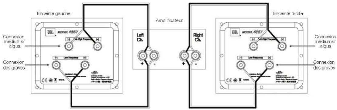 Enceinte gauche Connexion mediums/ aigus Connexion dos graves Amplificateur Lefti Ch. Right Ch. Enceinte droite Connexion mediums/ aigus Connexion dos graves