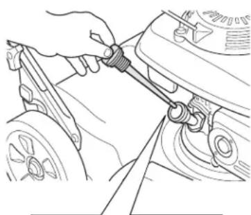 Honda HRS 536 C5 VK - Hindernisse - 1