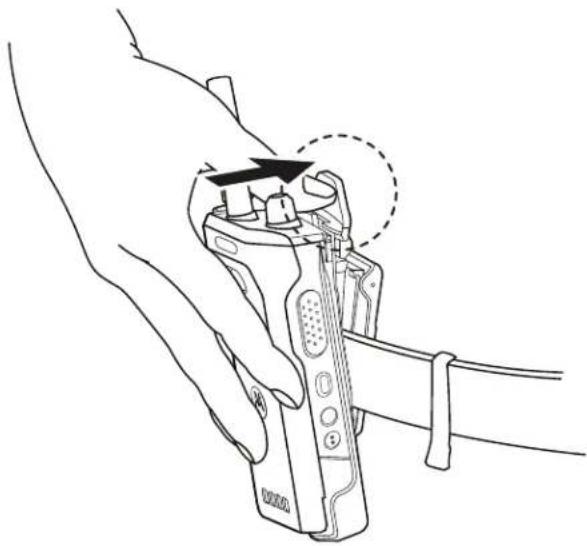 MOTOROLA MOTOTRBO Ion - Procedure: - 1