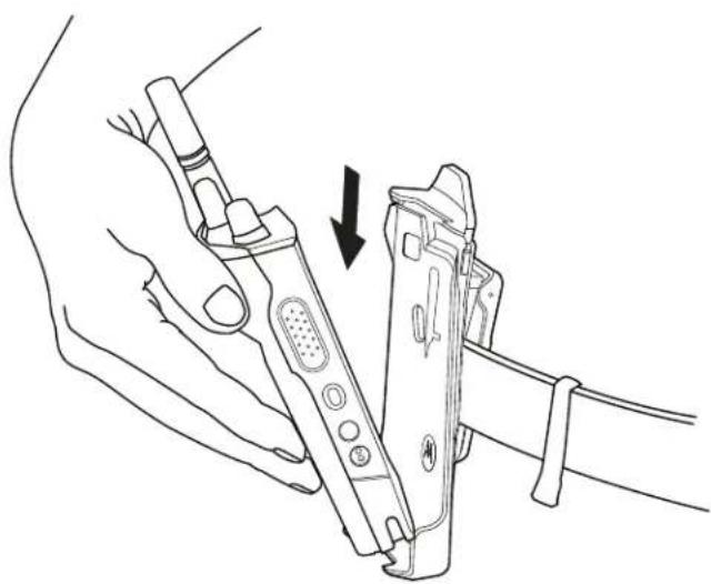 MOTOROLA MOTOTRBO Ion - Procedimento: - 1